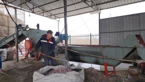 庫爾勒廢舊物資回收加工產業園吹響春節復工集結號